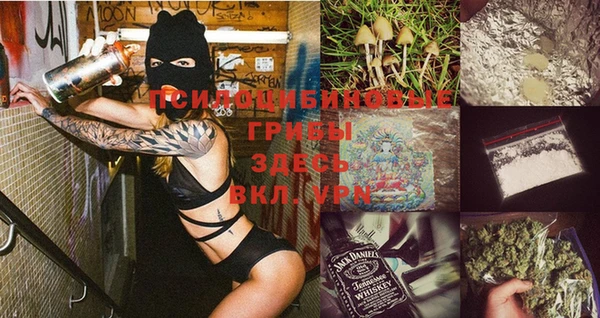 мяу мяу мука Армянск